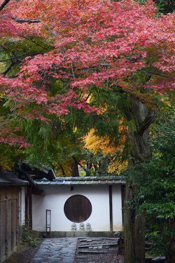20121126-kyoto aki 1.jpg
